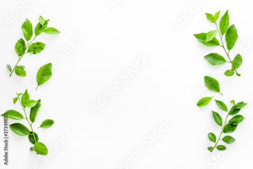 Top view frame of green leaves. Nature concept layout