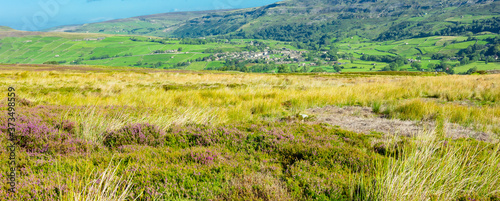 Panoramic view of the Dales village of Reeth in summer when the heather is in bloom.  Grinton Moor, Yorkshire Dales, UK. Space for copy.