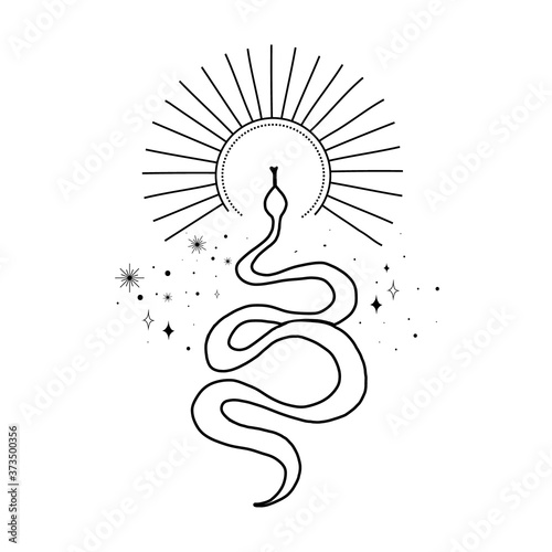 Alchemy esoteric mystical magic celestial talisman with snake, sun, stars sacred geometry isolated. Spiritual occultism object. Vector illustrations in black outline style