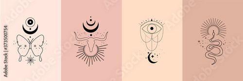 Set of alchemy esoteric mystical magic celestial talisman with skull of bull, snake, butterfly, sun, moon, stars sacred geometry. Spiritual occultism object. Vector illustration in black outline style