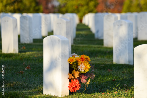 Washington DC - Arlington National Cemetery in Autumn
