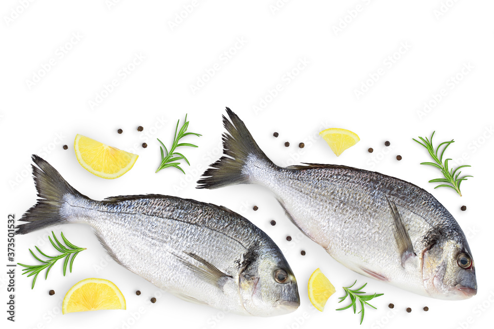 Fish dorado isolated on white background with clipping path and full depth of field. Top view with copy space for your text. Flat lay Fish dorado isolated on white background with clipping path and full depth of field. Top view with copy space for your text. Flat lay