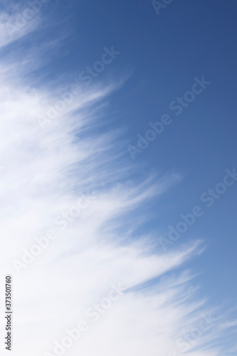 Light white cloud with torn edges floats in blue sky.
