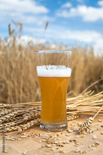Beer in a glass stands on a wooden tray among the ears against the background of a wheat field. No people, vertical orientation
