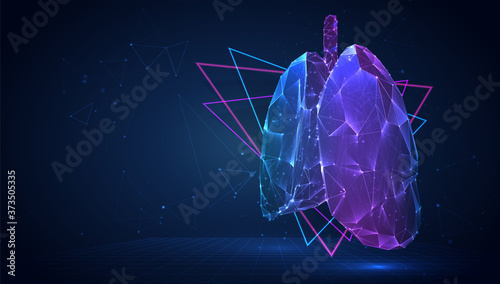 vector 3d lungs made of triangular polygons