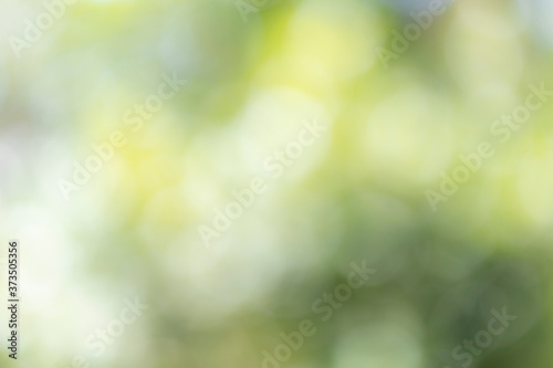 Abstract blur bokeh of nature for background