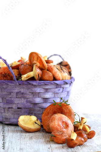 Fresh raw mushrooms . Autumn Mushrooms on a wooden rustic table. Forest mushrooms in a wicker basket on an isolated white background. Vertical format. Copy space