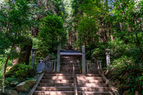 大雄山最乗寺の階段 © Oval Design