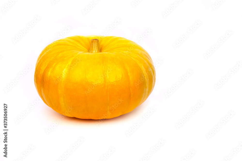 Obraz premium Yellow pumpkin on a white isolated background. Close-up, side view. Background for your Halloween illustrations or lettering.