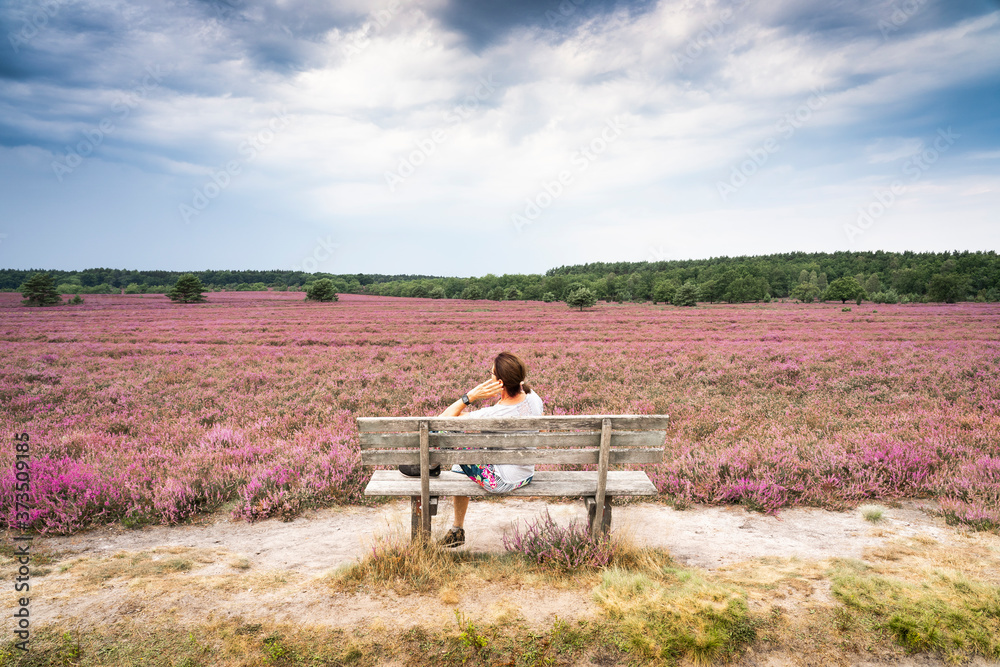 senior woman enjoying the tranquillity of a landscape with blooming erica and juniper bushes in the Luneburg heather near Wilsede Mountain, Niedersachsen, Germany, landscape