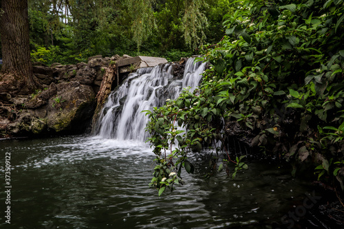 Beautiful waterfall in summer garden © Olga Vasina