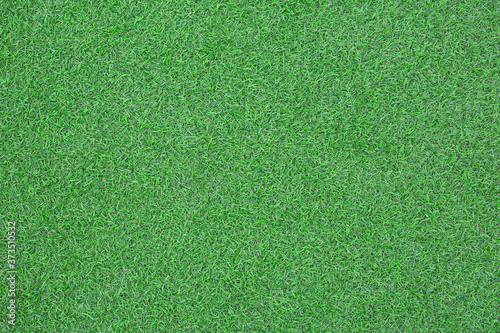 Top view of green grass pattern texture surface in garden.