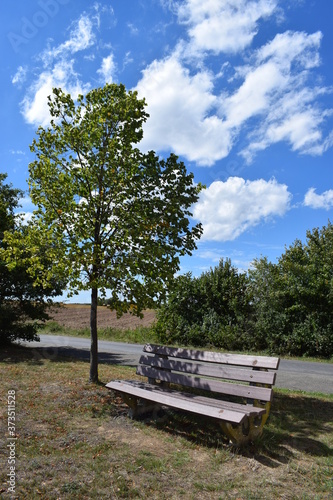 Eifelstraße im Sommer photo