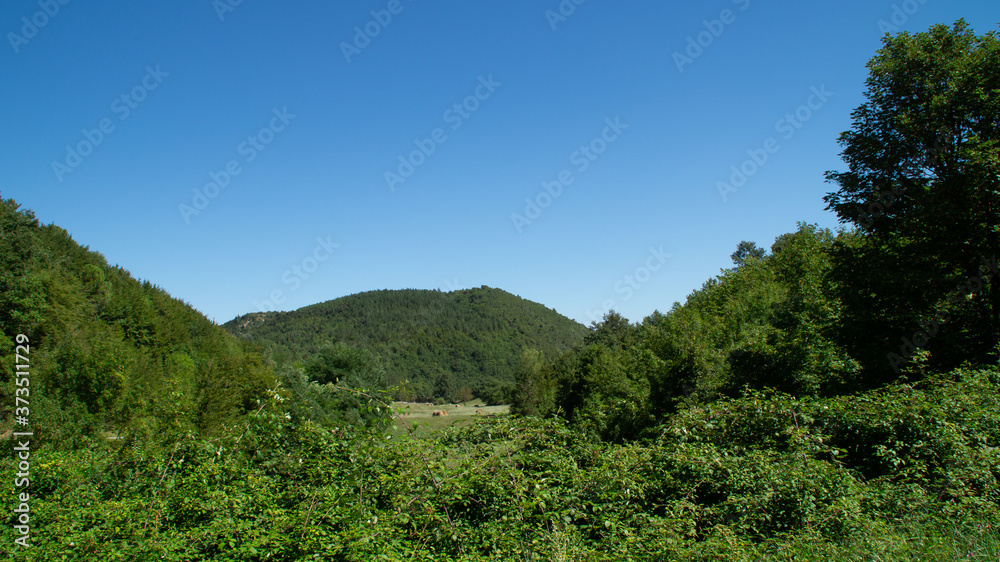 Panorama dal sentiero a Serra San Quirico Panorama dal sentiero a Serra San Quirico
