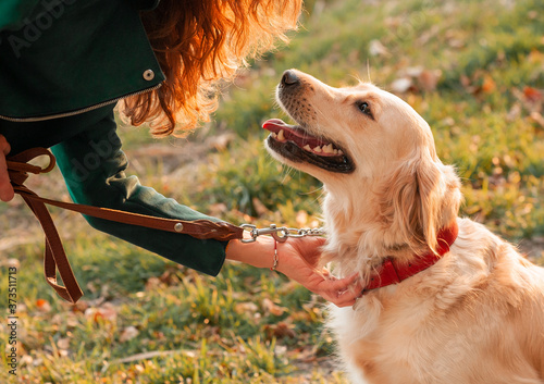 Golden retriever dog with a curly woman walking outdoors on sunny day. Training the dog in the park. love and care for the pet.