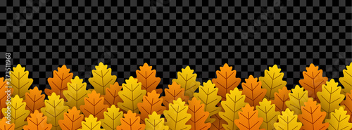 Autumn oak leaves on transparent background.