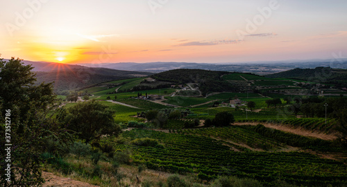 Beautiful sunset in the Tuscan countryside in a summer day with vineyards near Montalcino