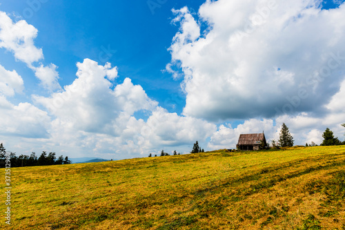 Fototapeta Naklejka Na Ścianę i Meble -  Mountain meadow on sunny summer day in Beskidy, Krawcow Wierch, Poland