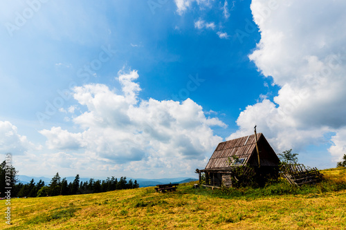 Fototapeta Naklejka Na Ścianę i Meble -  Mountain meadow on sunny summer day in Beskidy, Krawcow Wierch, Poland