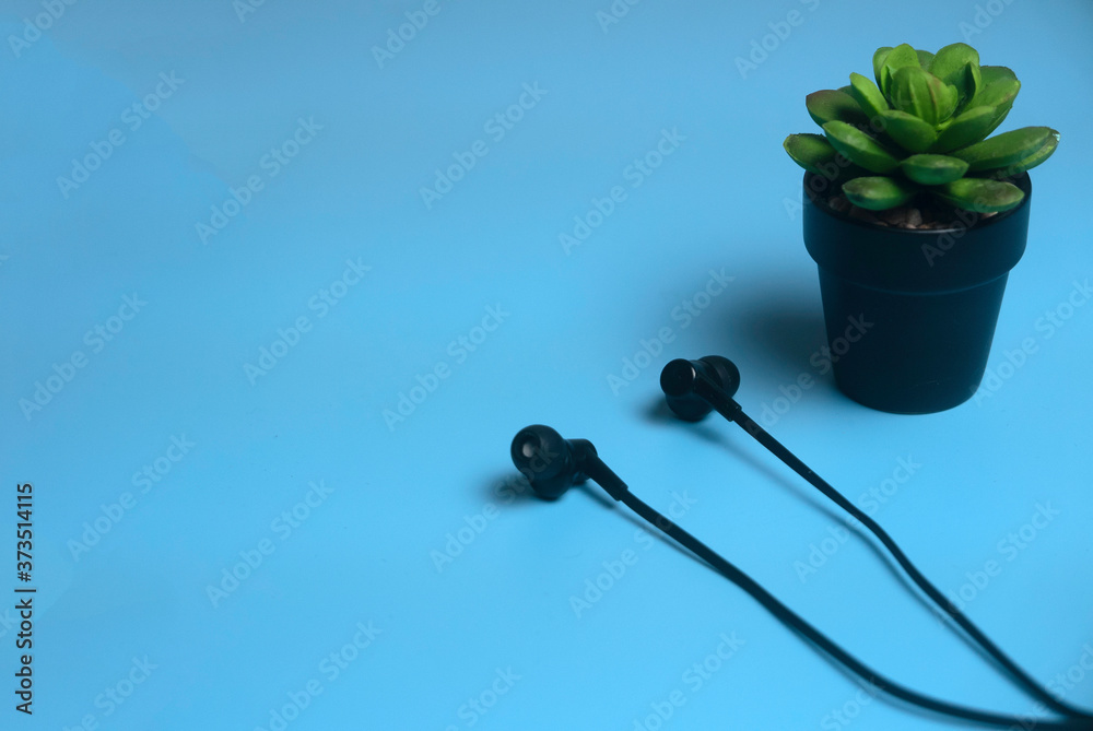 Selective focus of plant and earphone with copy space on a blue background. Selective focus of plant and earphone with copy space on a blue background.