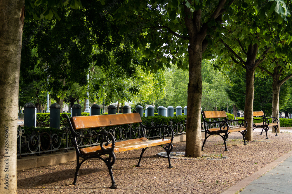 Benches in a park