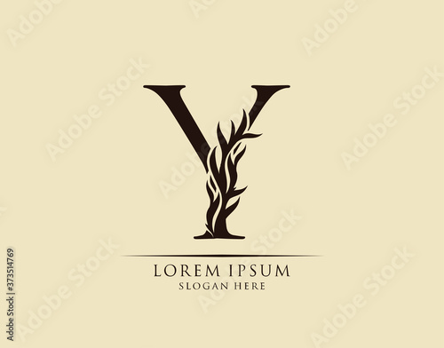 Callygraphy Y Letter. Graceful royal style. Calligraphic arts logo. Vintage drawn emblem for book design, brand name, stamp, Restaurant, Boutique, Hotel.