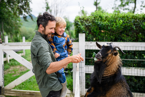 Portrait of father with small son standing on farm, feeding goat. photo