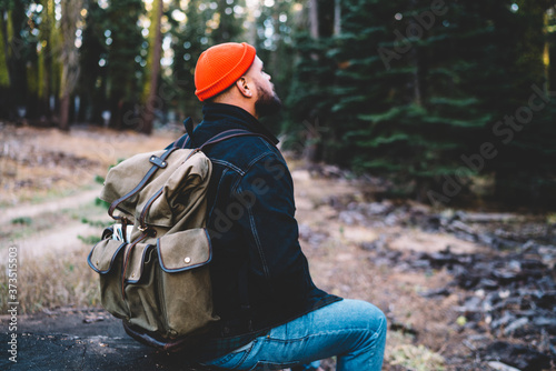 Rear view of caucasian male traveler in hat and with backpack sitting in forest recreation on wild environment, hipster guy explorer enjoying wood environment looking at trees visiting national park