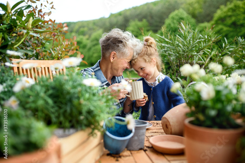 Senior grandmother with small granddaughter gardening on balcony in summer, resting.
