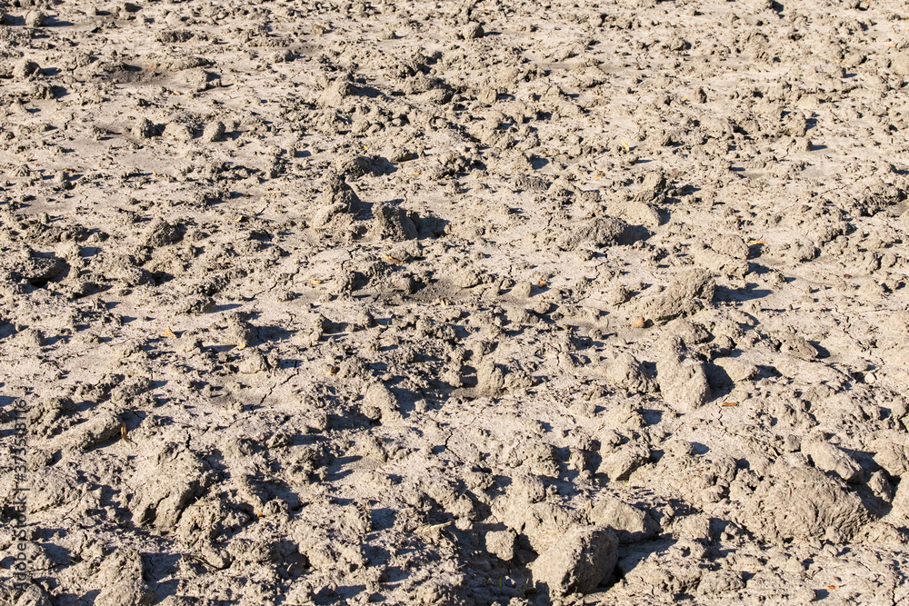Close-up view of empty land after harvesting. Dry black soil. Black Soil Texture Background. Dark ground surface. Texture soil dry crack background pattern of drought lack of water Close-up view of empty land after harvesting. Dry black soil. Black Soil Texture Background. Dark ground surface. Texture soil dry crack background pattern of drought lack of water