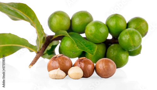 macadamia nuts on white background