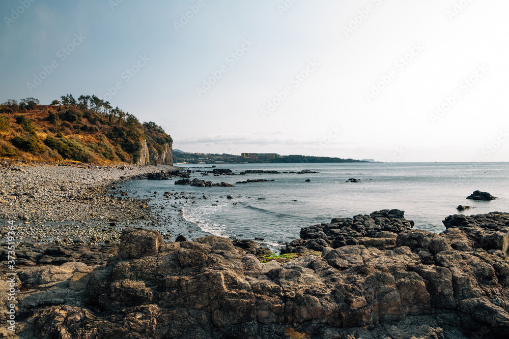 Gaetkkak Jusangjeolli Cliff Columnar Joints and sea in Jeju Island, Korea