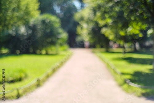 Blurred background of a park with a road in the summer.