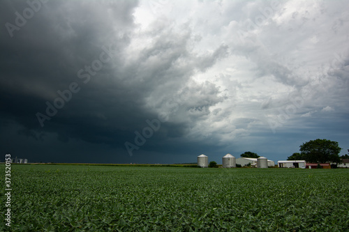 Cuadro en lienzo Incoming Derecho approaching across the corn fields.