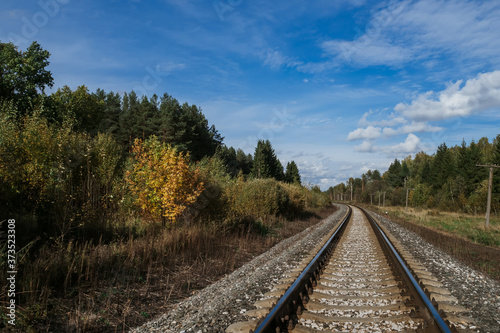 Railway among the forest under the blue sky