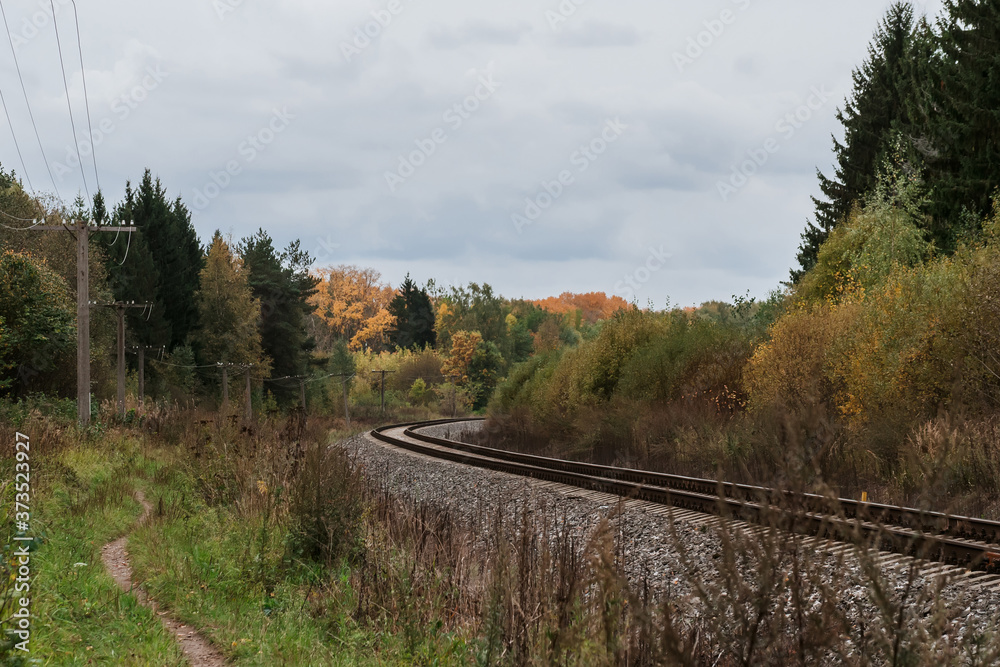 railway in the forest in autumn a cloudy day
