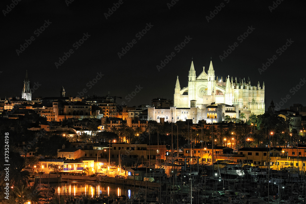 the Cathedral of Santa Maria in Palma de Majorca at night