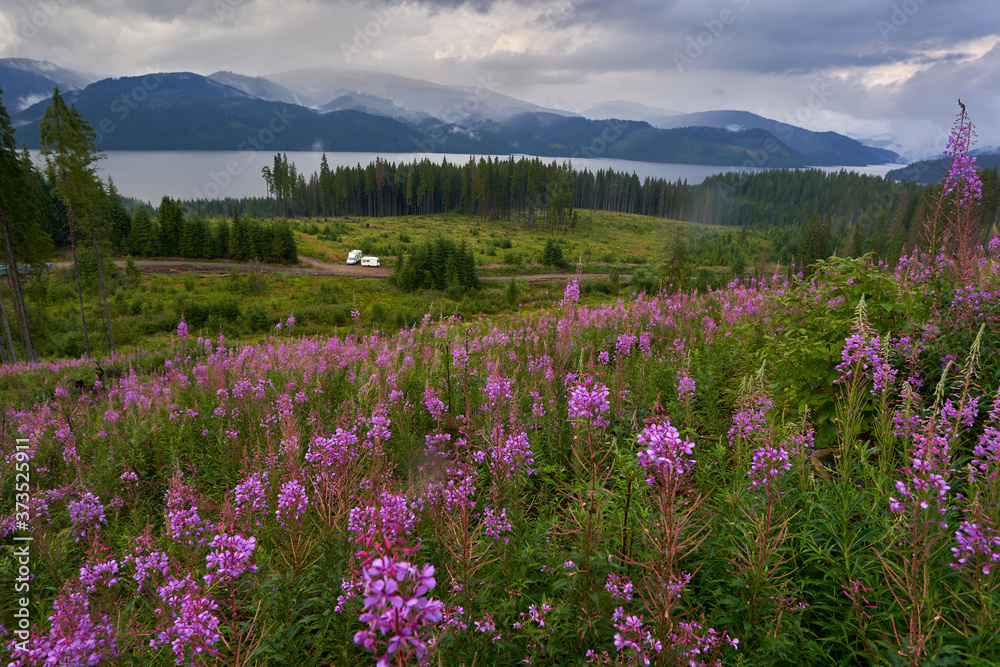 Mountain lake in the summer