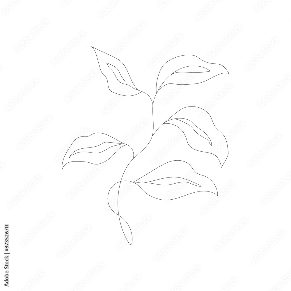 Naklejka premium Minimalism line drawing. Flower vector one line art. Botanical Sketch Vector Illustration. Nature vector Line drawing.