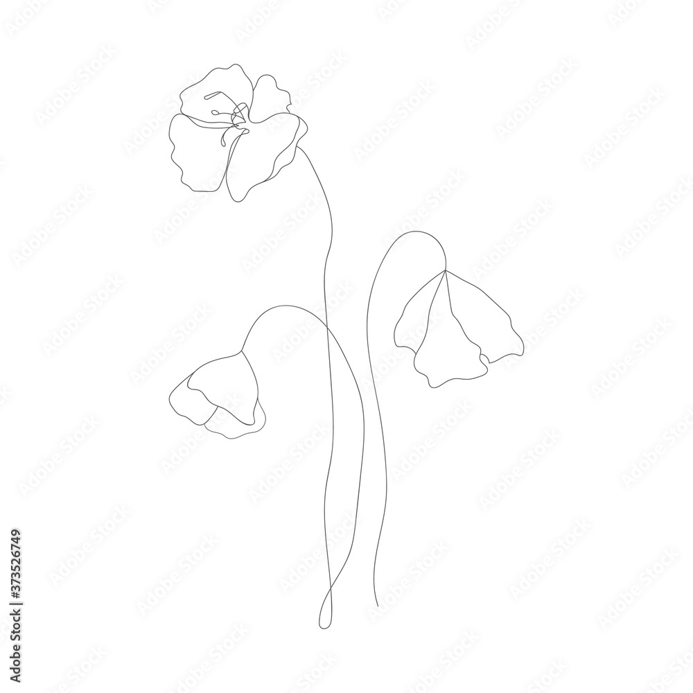 Fototapeta Minimalism line drawing. Flower vector one line art. Botanical Sketch Vector Illustration. Nature vector Line drawing.