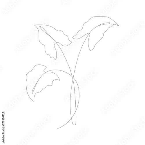 Fototapeta Naklejka Na Ścianę i Meble -  Minimalism line drawing. Flower vector one line art. Botanical Sketch Vector Illustration. Nature vector Line drawing.