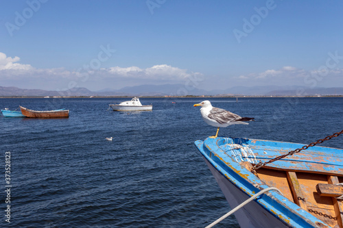 Fishing boats in the port of Sant'Antioco, Sardinia © skovalsky