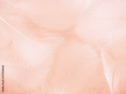 Beautiful abstract orange color and white feathers on white background  soft brown feather texture on white pattern background  yellow feather background