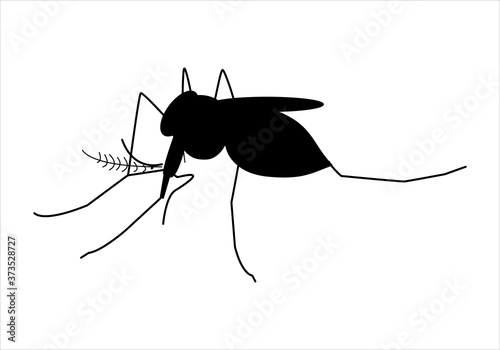 Icono de mosquito  sobre fondo blanco