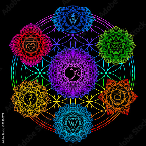 Set of seven chakras, flower of life. Tantric hinduism buddhism vajrayana meditation