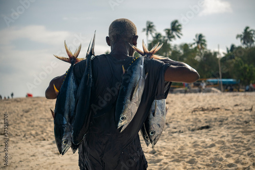 Black African Man is Carrying Tuna Fishes on the Street Fish Market in Nungwi village in s morning after fishing photo