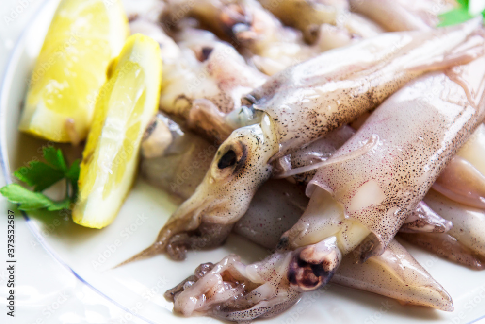 fresh squid with lemon and parsley on the plate fresh squid with lemon and parsley on the plate