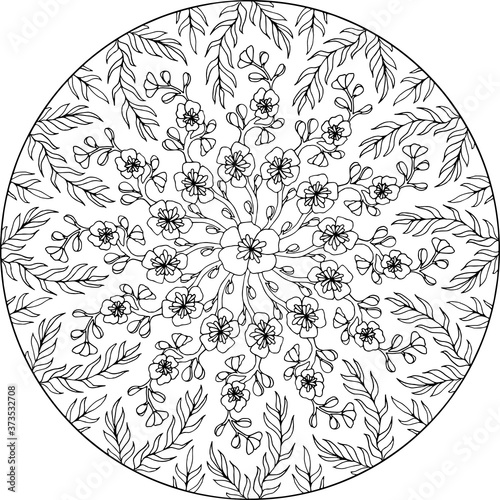 Mandala Sakura & Willow