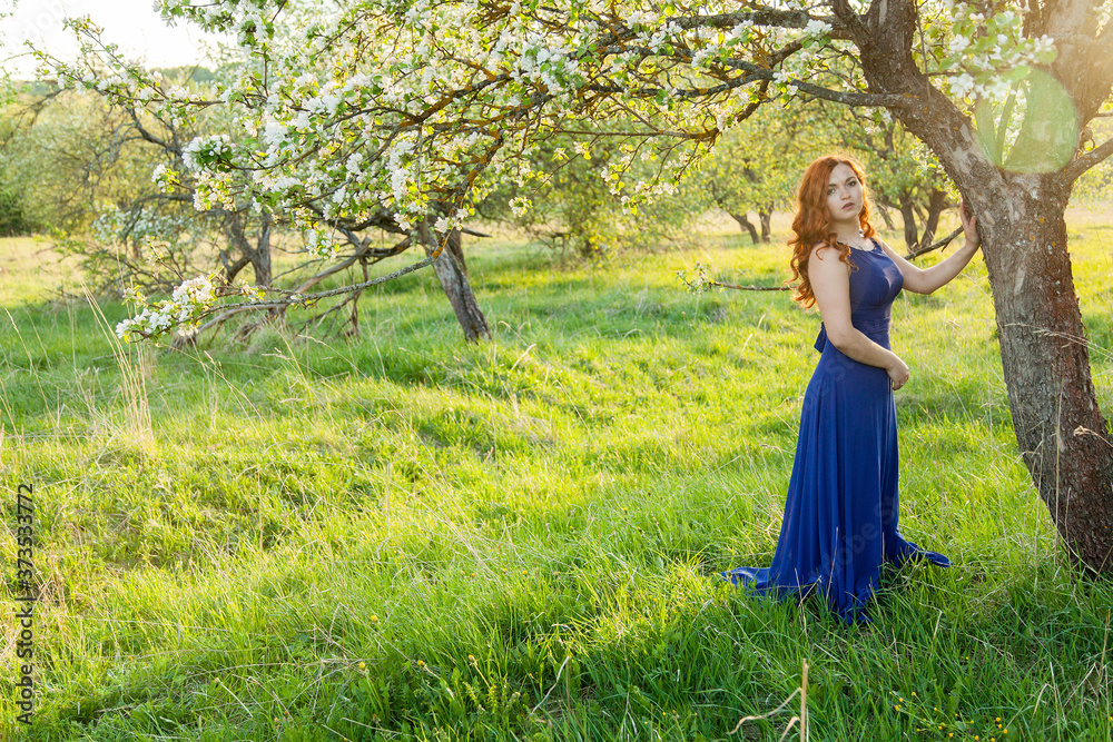 Portrait of a red-haired girl walking in an apple orchard in an blue dress Portrait of a red-haired girl walking in an apple orchard in an blue dress
