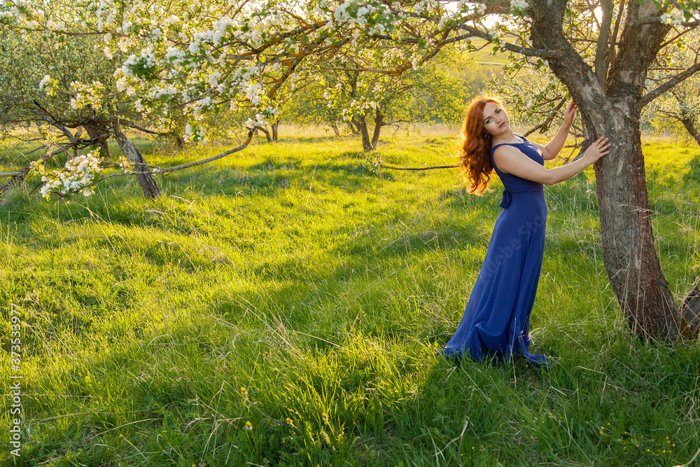 Portrait of a red-haired girl walking in an apple orchard in an blue dress Portrait of a red-haired girl walking in an apple orchard in an blue dress